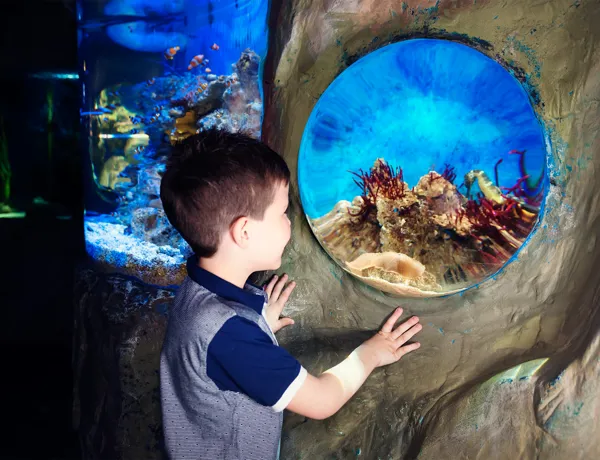 Aquarium