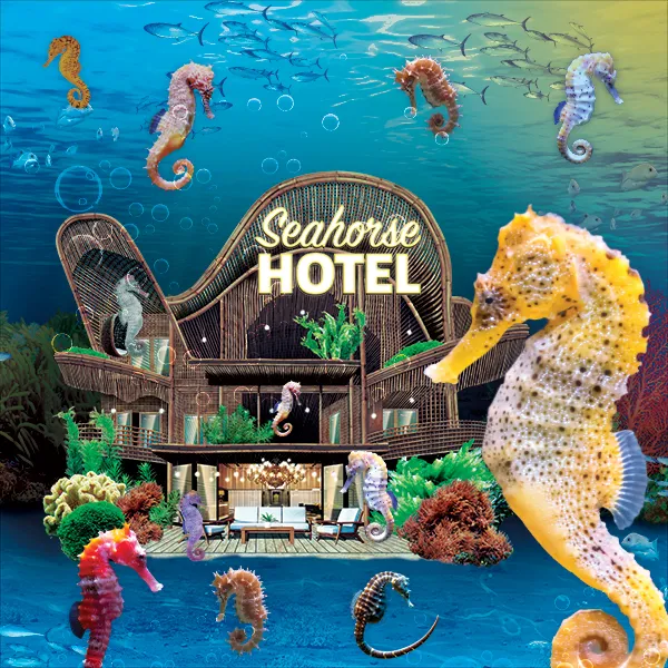 SEALIFE SEAHORSES CRM 600X600px (1)