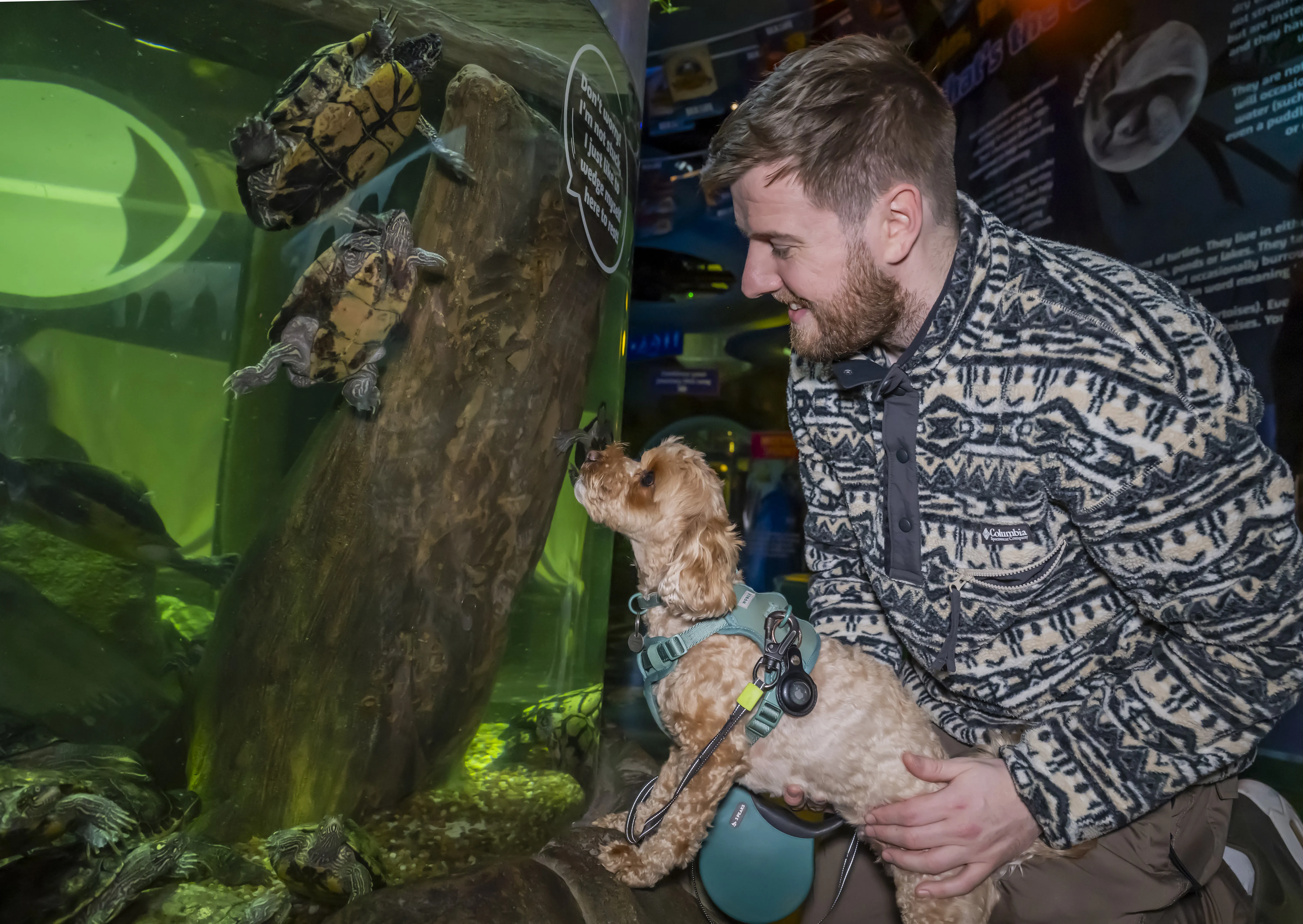 SEA LIFE Manchester Paws Beneath The Waves (2)