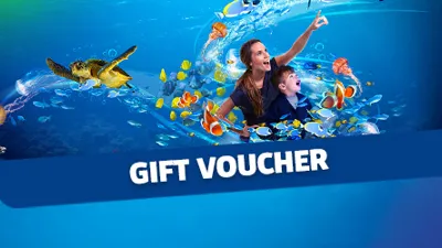 Gift Voucher