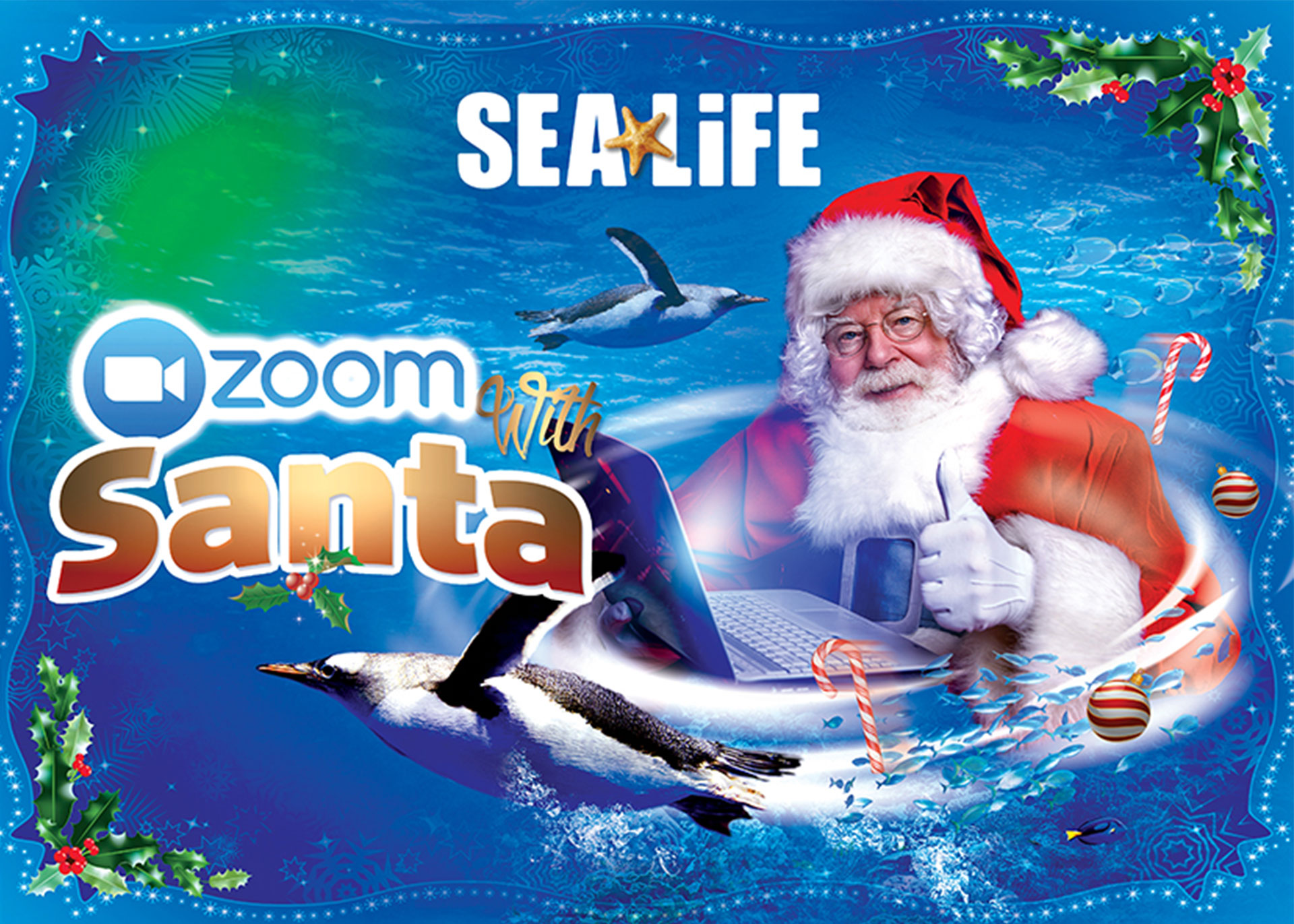 Zoom with Santa at SEA LIFE
