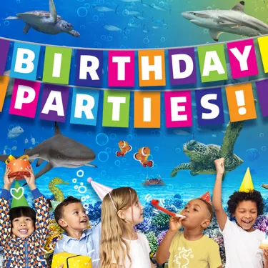 SEALIFE BIRTHDAYS Promo Event Page 1000X1000px