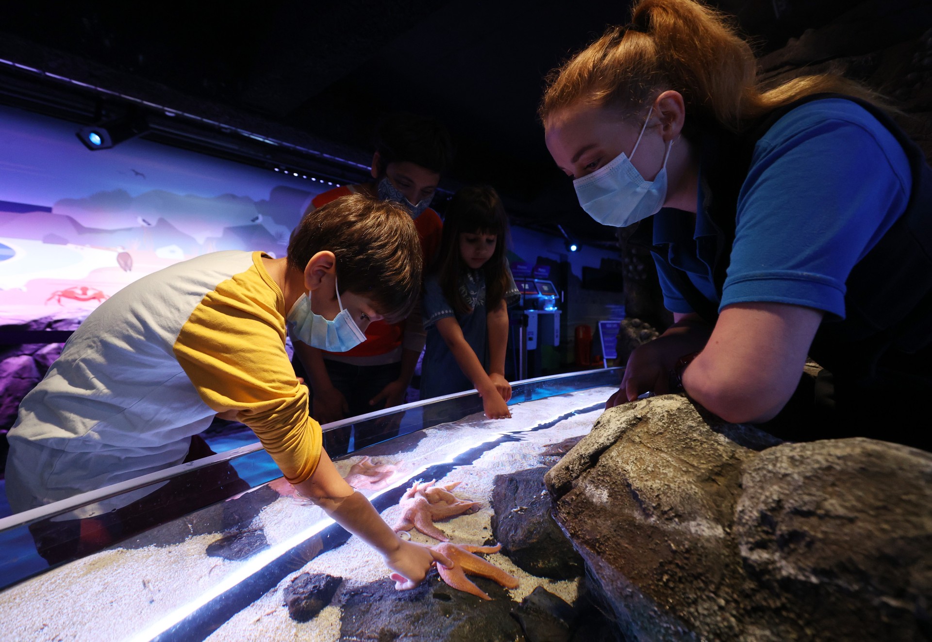 Guests visiting the rock pool zone at SEA LIFE Manchester