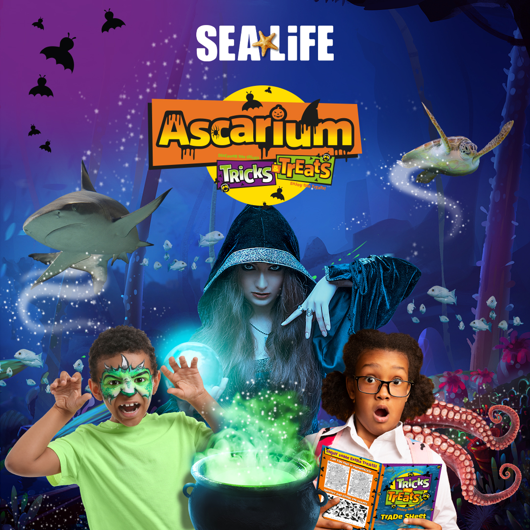 Ascarium at SEA LIFE Manchester