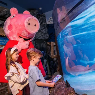 Peppa Pig at SEA LIFE