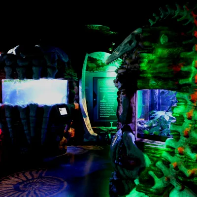 Sea ranger zone at SEA LIFE