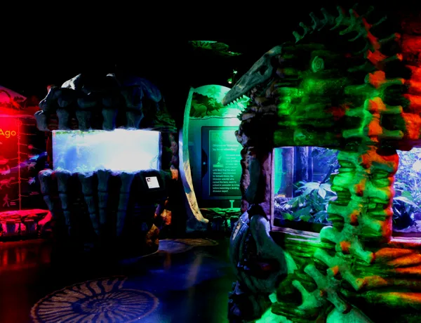 Sea ranger zone at SEA LIFE
