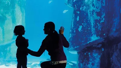 Adult And Child Aquarium