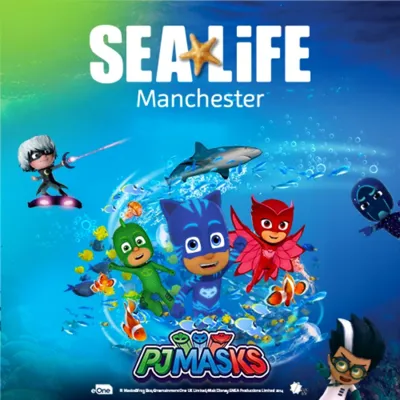 PJ Masks Square