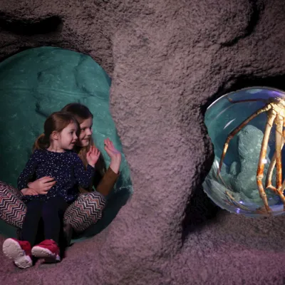 Children at the Giant Crab zone at SEA LIFE Manchester