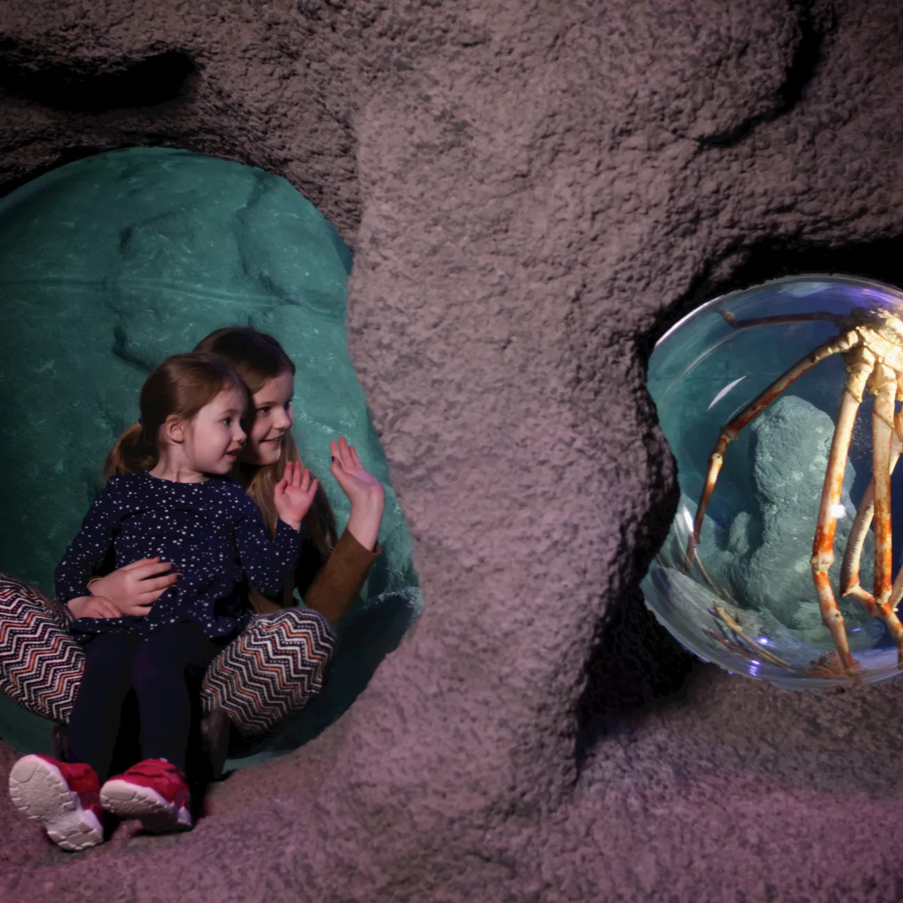 Visit SEA LIFE Manchester Aquarium Trafford Centre