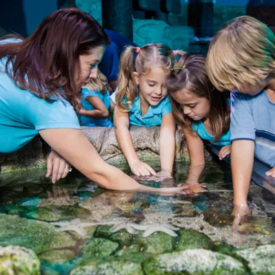 Sea Life Manchester School Kids