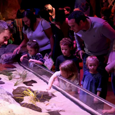 Sea Life Manchester (1)