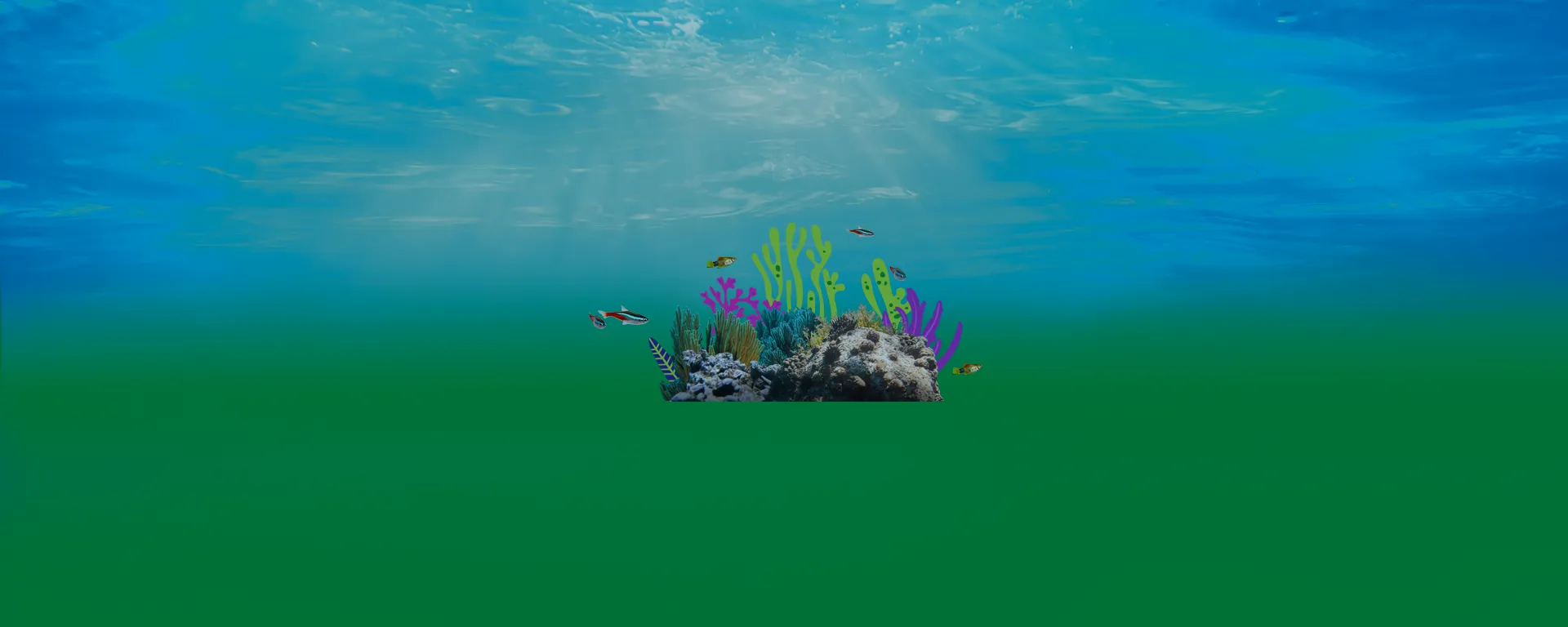 Header Strips 1920X768 Freshwaterfish