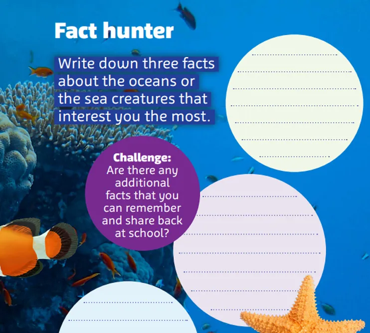 Fact Hunter 776X753