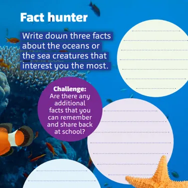 Fact Hunter 776X753