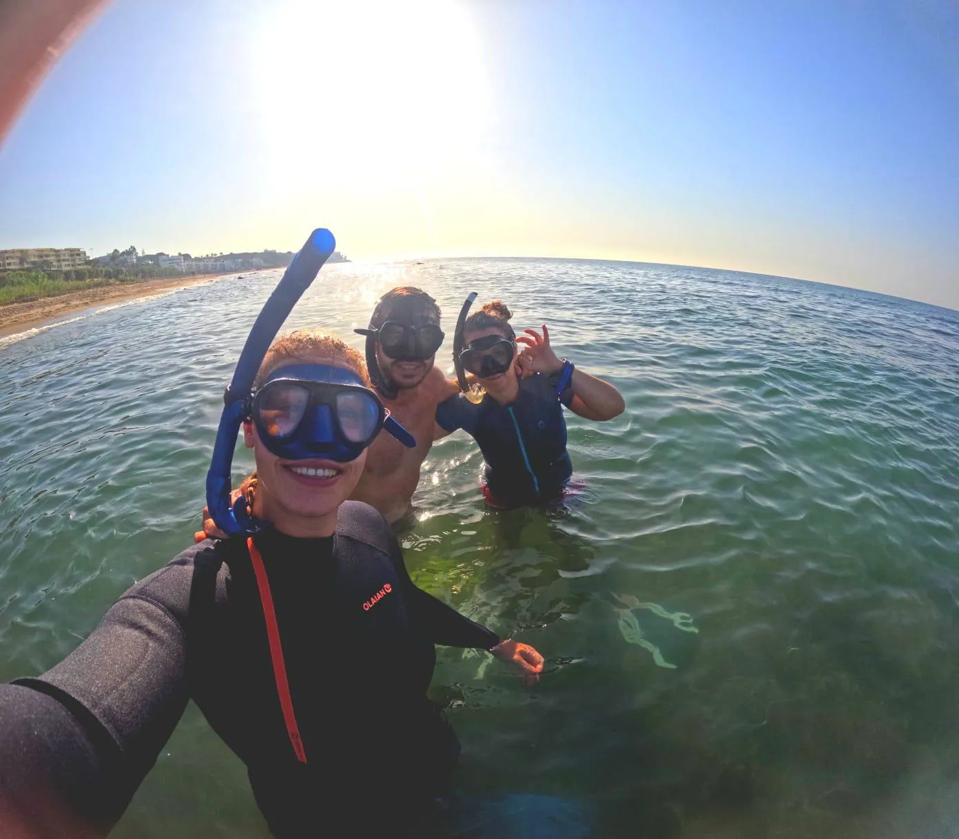 Sealife Team Marine Plants Monitored