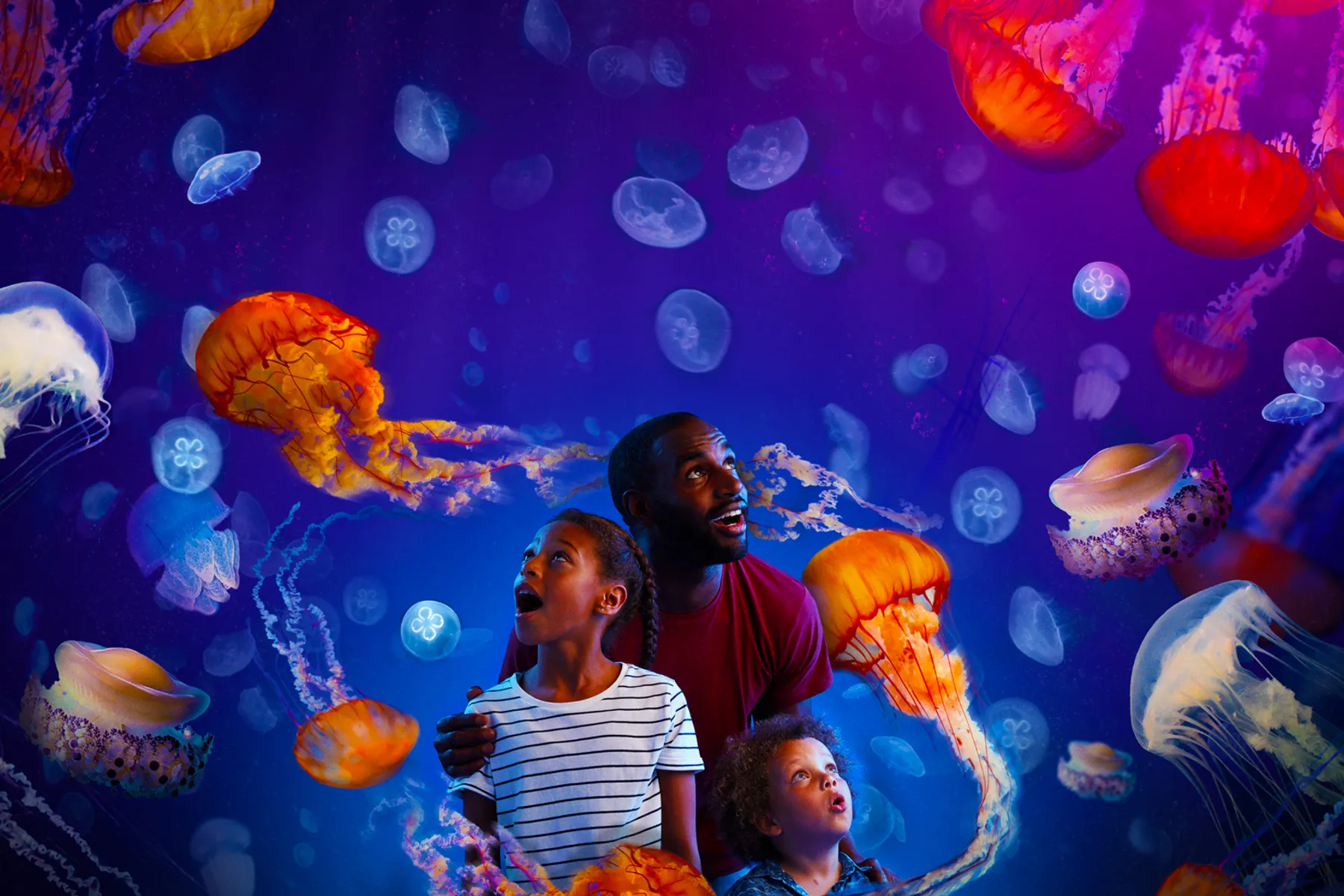 SEA LIFE Aquariums & Attractions Official SEA LIFE website