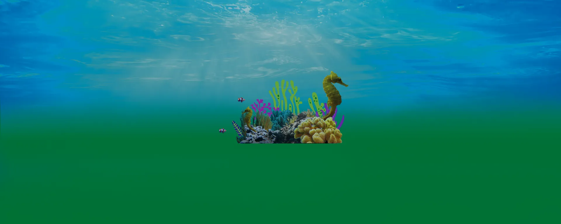 Header Strips 1920X768 Seahorse