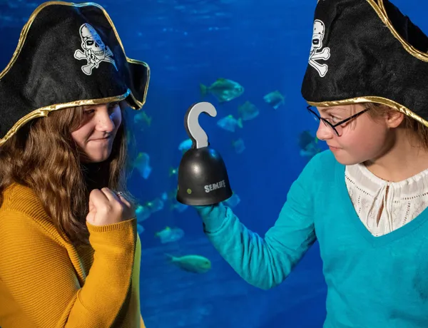 Pirates
