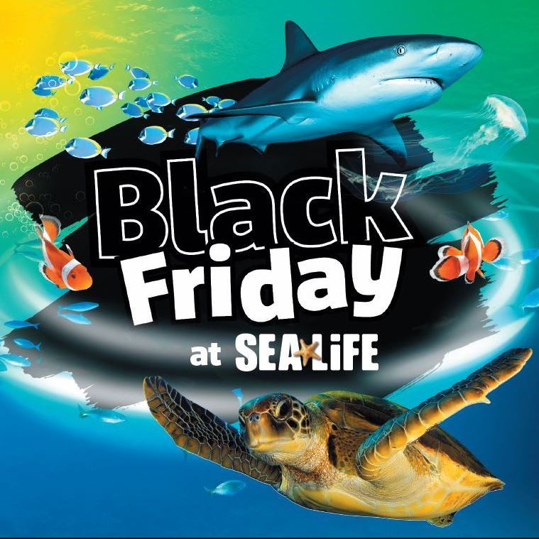 Black Friday Offers  Official SEA LIFE website