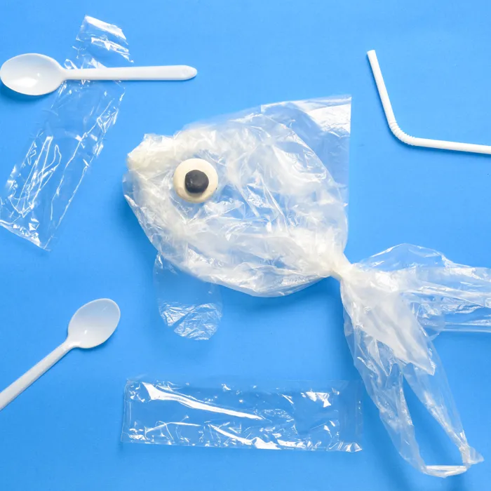 Plastic Bags