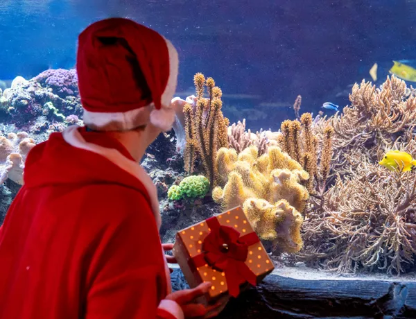 SEA LIFE Speyer