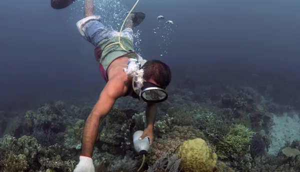 Cyanide Fishing
