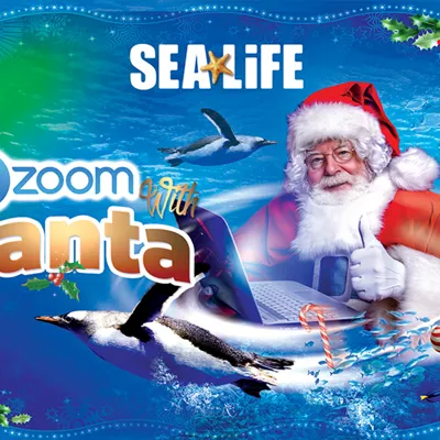 Zoom with Santa this Christmas at SEA LIFE