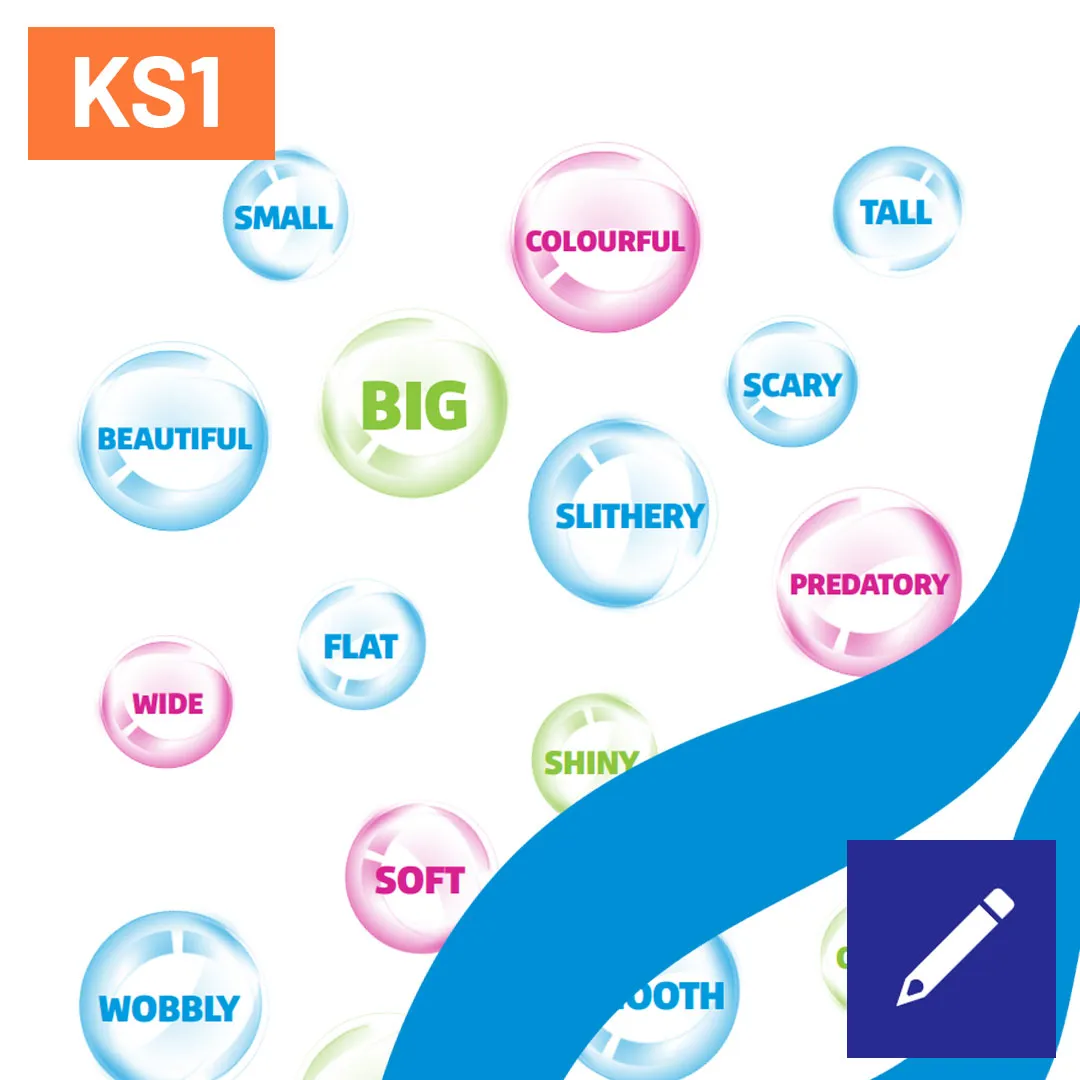 SL Describing Sea Creatures KS1 1080X1080