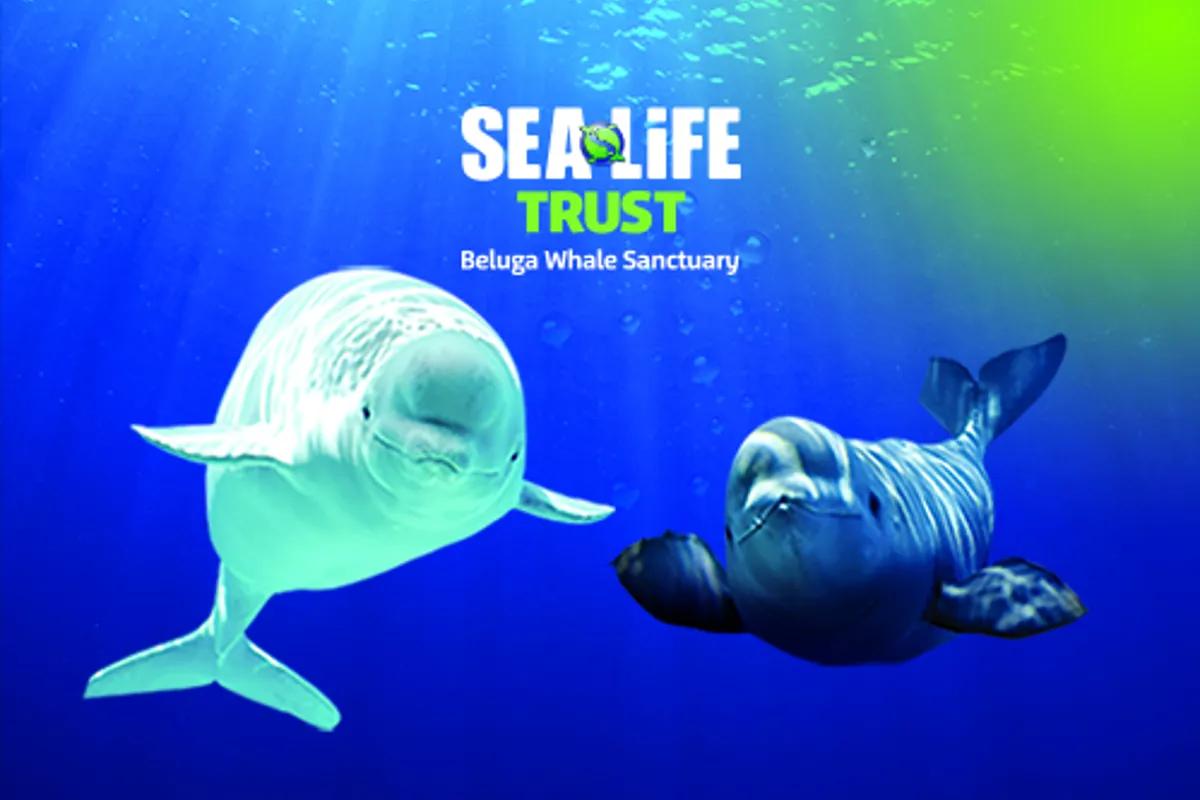 SEA LIFE Aquariums & Attractions Official SEA LIFE website