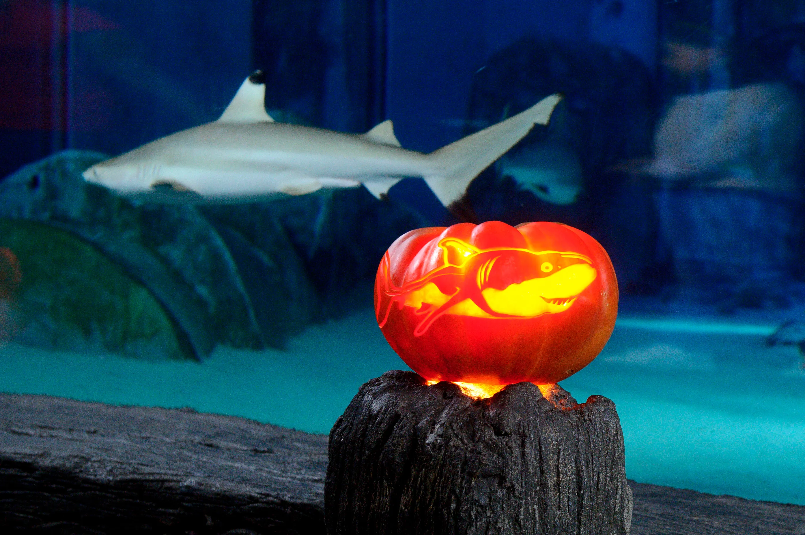 Halloween Header