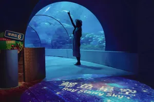 Ray Starry Night (1)