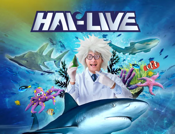 SL Hai Live Quadrat 1080X1080px