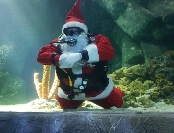 SEA LIFE Oberhausen