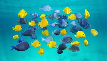 Blog #4 Hero Image 720X410px