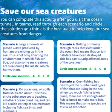 Save Our Creatures 776X753