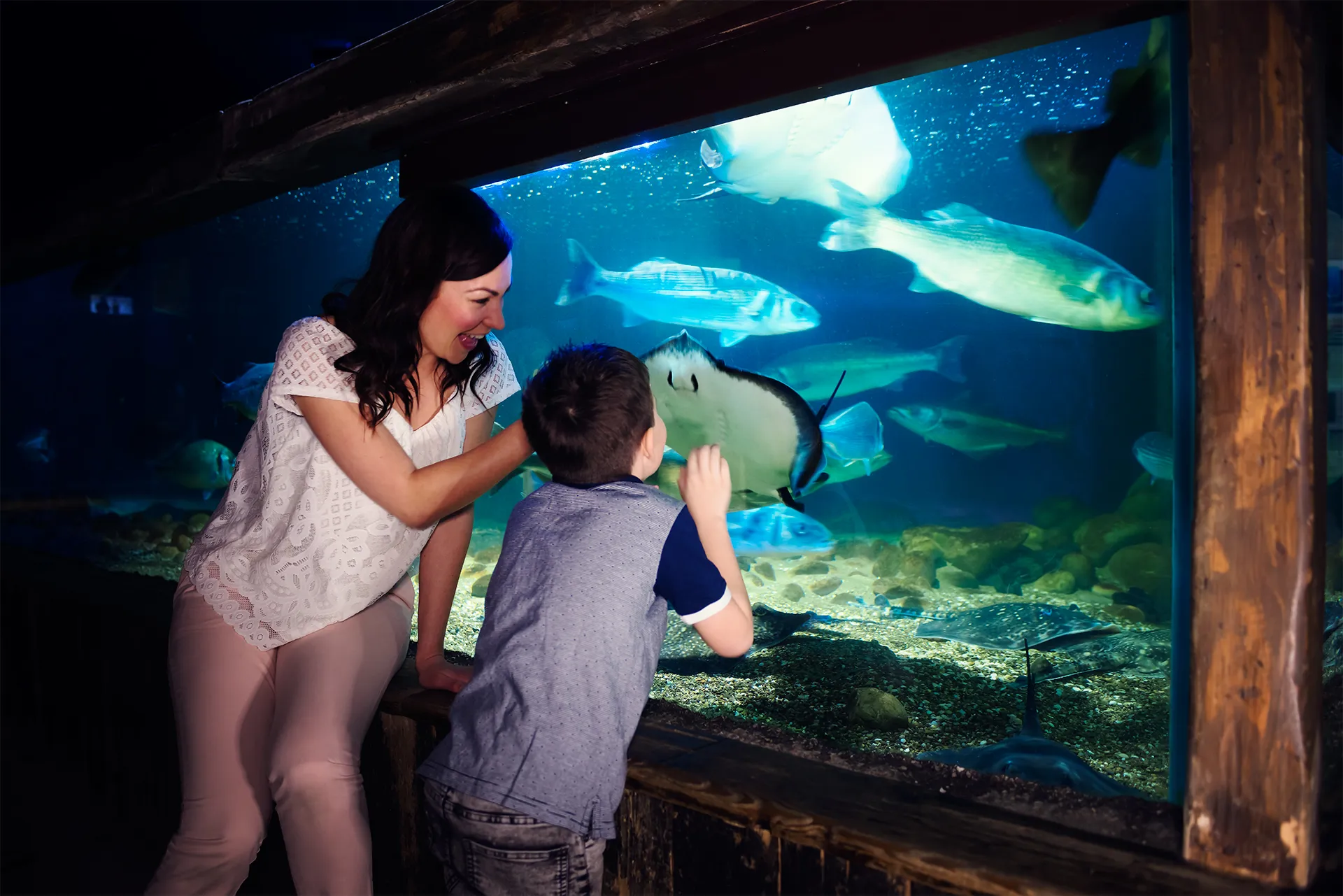 Mum and child watching a ray