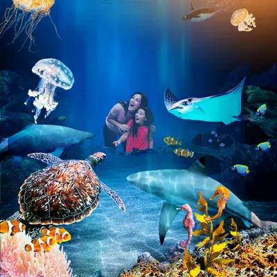 SEA LIFE website