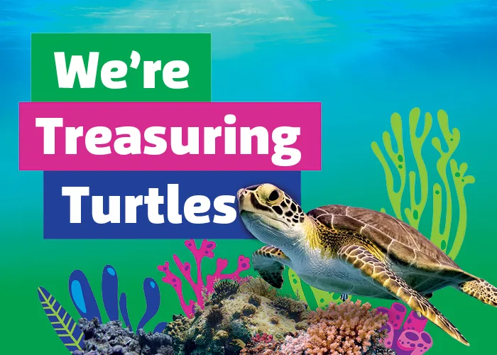 SLT Were Treasuring Turtles 700X500[3]