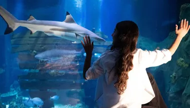 SL Blog #5 Image 3 720X410px