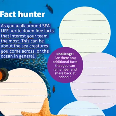 Fact Hunter Age 7 11Yrs 776X753
