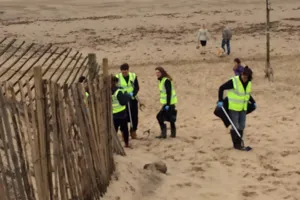 Beach clean