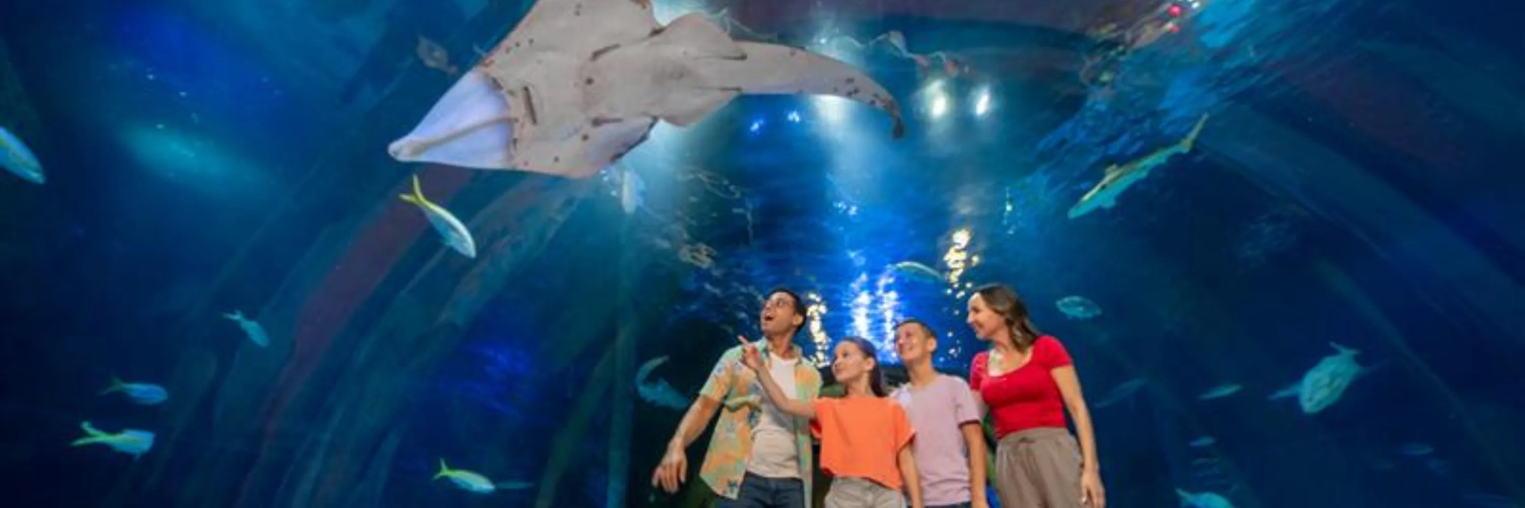 Sea Life Week Labor Day Sale - Tickets from $15