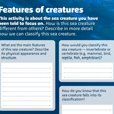 Features Of Creatures 776X753