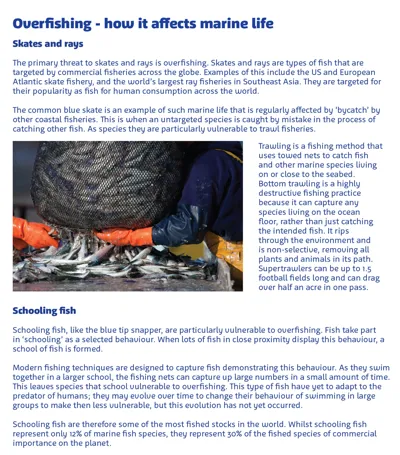 KS3 Animals In Danger Over Fishing 950X1080