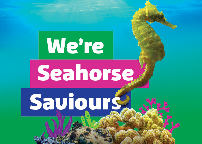 SLT Were Seahorse Saviours 700X500[3]
