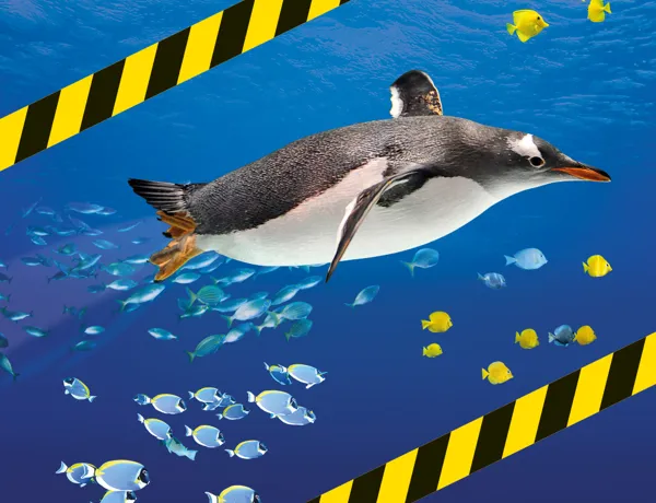 SL KON Umbau Pinguin 1080X1080px