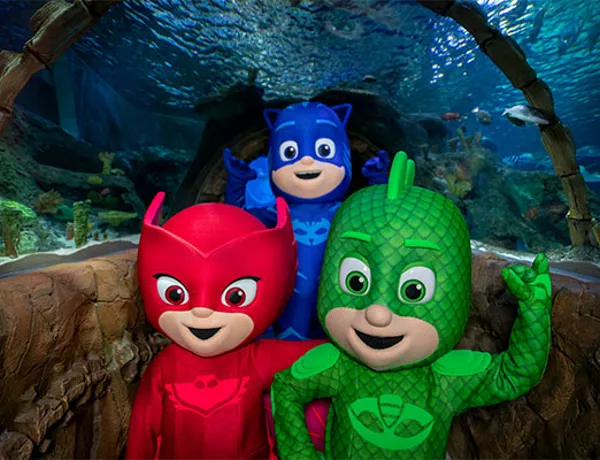 PJ Masks 166