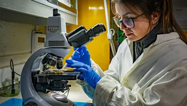 SL Blog Earth Day Image 4 720X410px